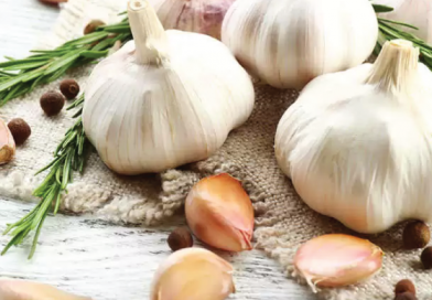 10 Health Benefits of Garlic